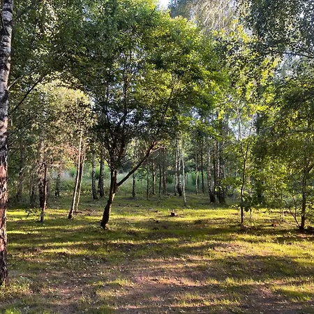 Σπίτι διακοπών Lakewood Mazury Nowa Wies Ostrodzka